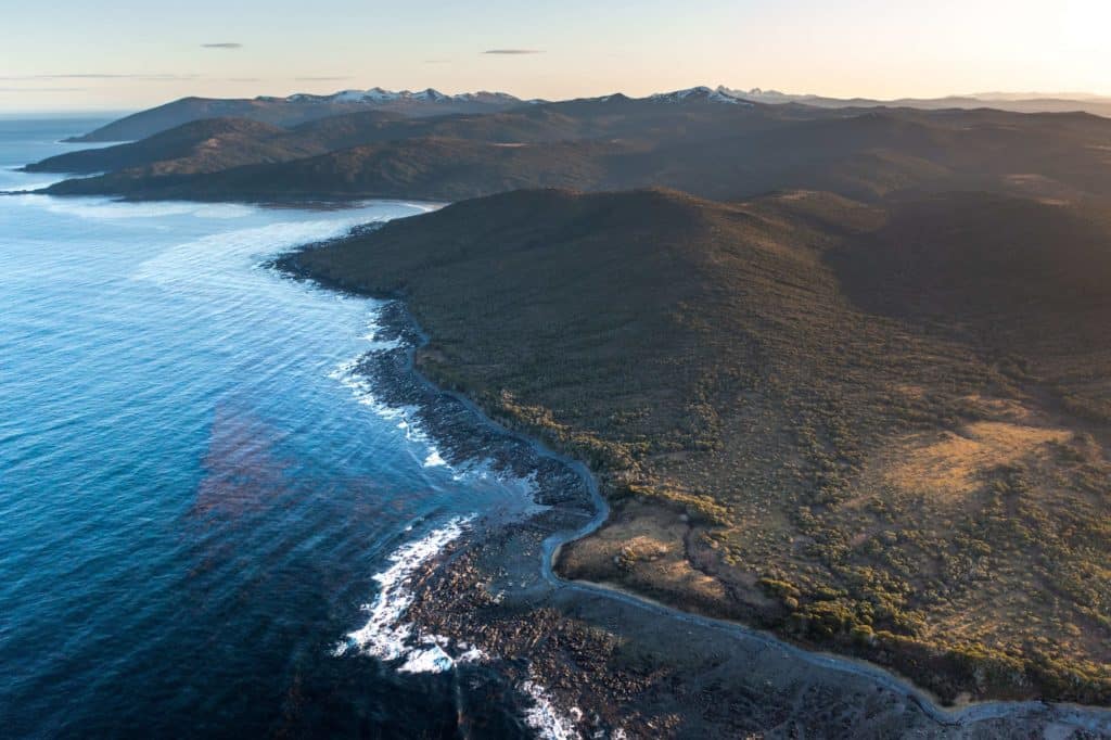 Tierra del Fuego acaba de proteger por ley a Península Mitre: el punto de mayor captura de carbono de Argentina