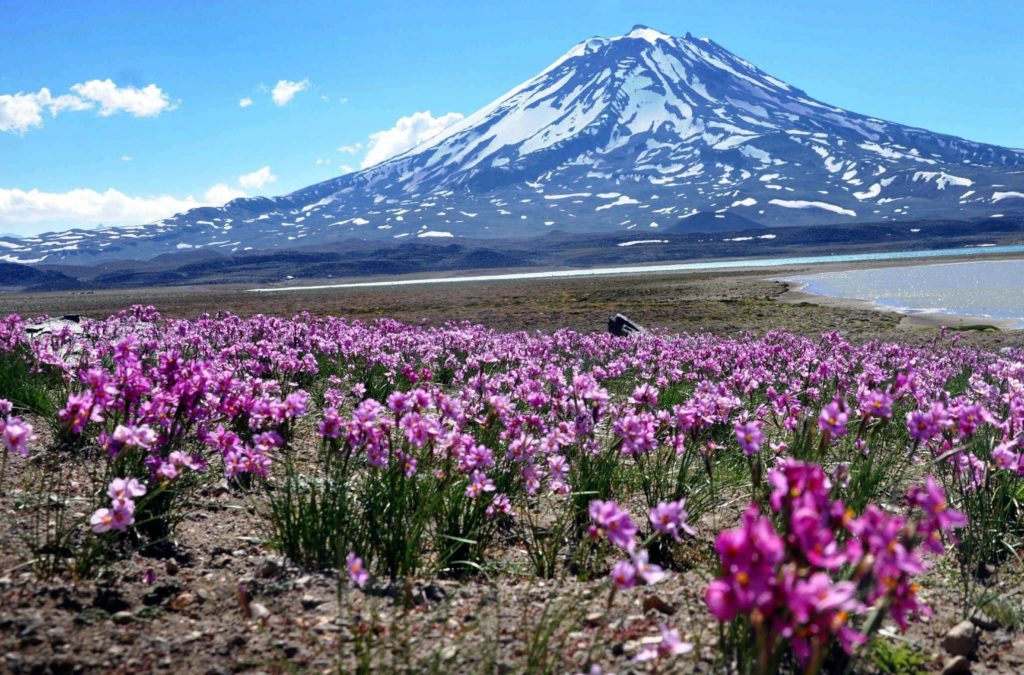 image Laguna del Diamante ab31dbd1886887f691366f7c89a1e273