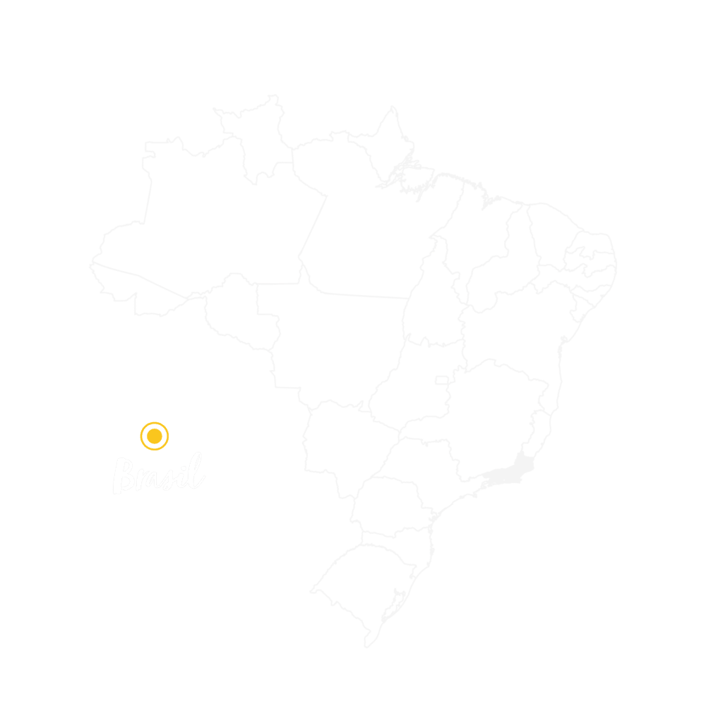 image brasil mapav2