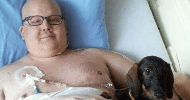 Se permite el ingreso de mascotas en un hospital de Canadá image image 69