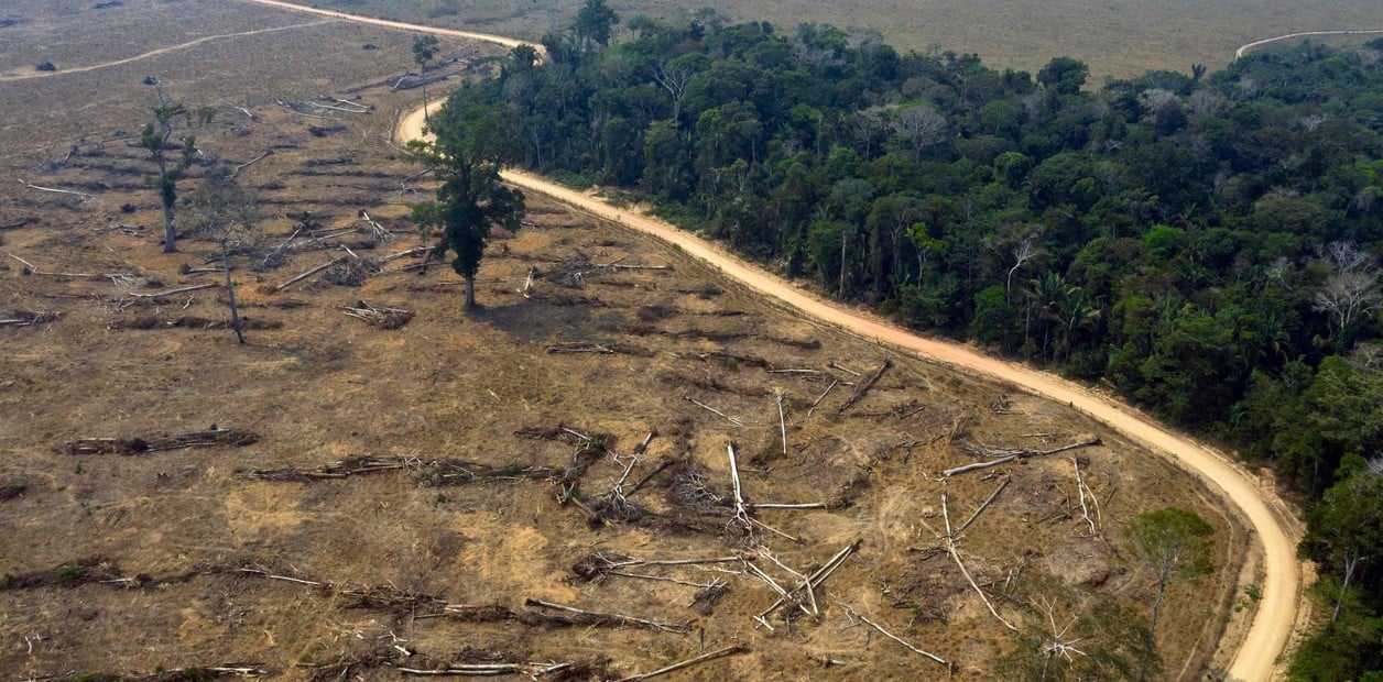 una-zona-quemada-de-la___LpfN2j4Gb_1256x620__1