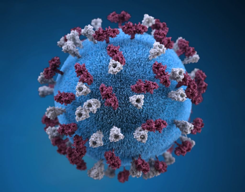 virus