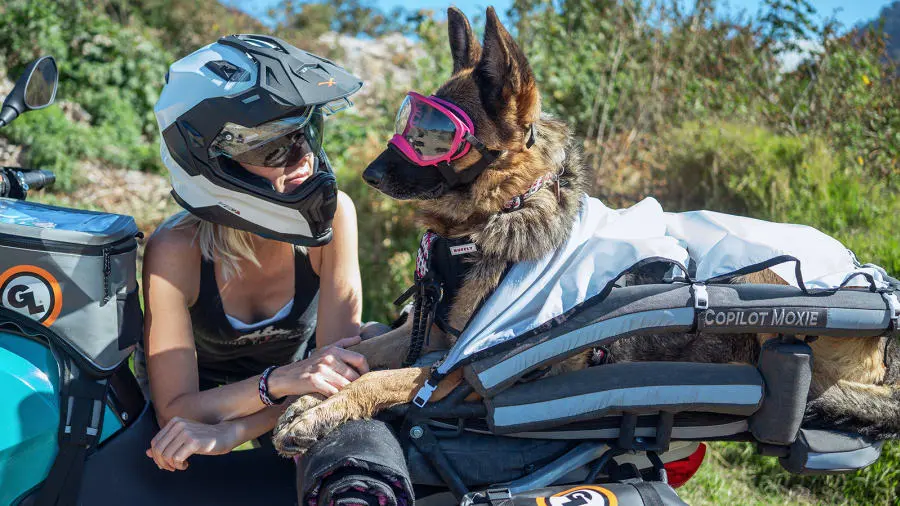 image 230106123037 04 woman riding motorcycle around the world with dog guatemala