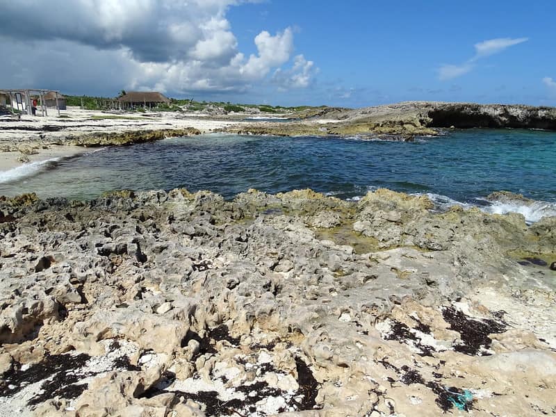 image playas de Cozumel 7 Punta Morena