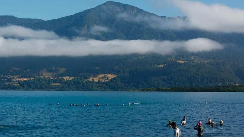 Alerta en Chile por la presencia de gran cantidad de algas tóxicas en el Lago Villarrica autoridades piden no tener contacto con el agua