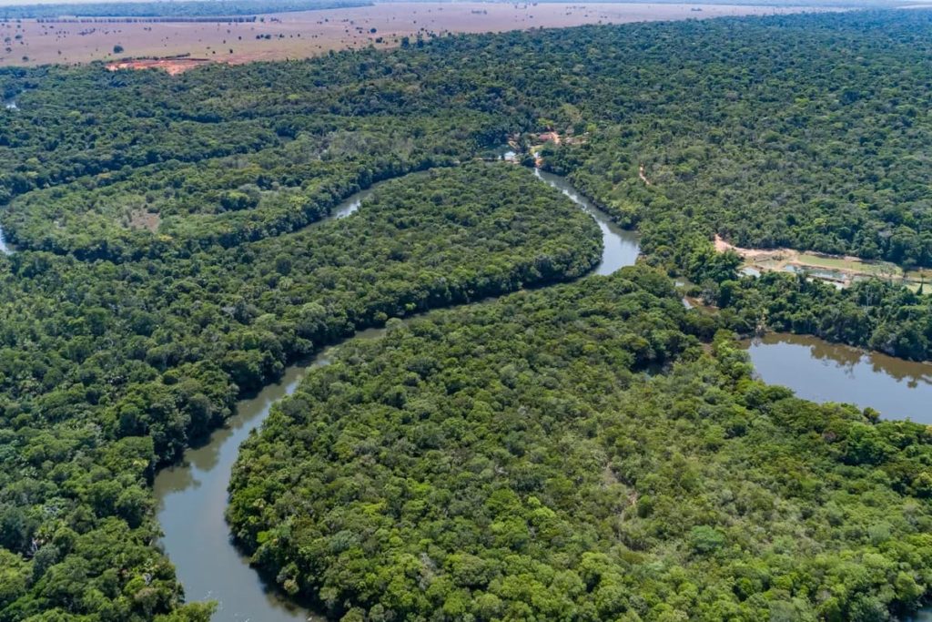 Amazonas: plantarán un árbol por cada empleado de aeropuertos españoles y brasileños