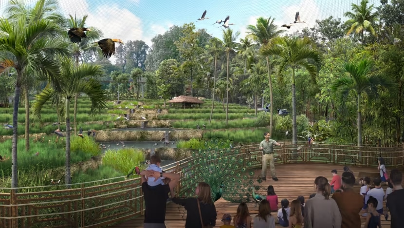 Bird-Paradise-nuevo-parque-aves-singapur-2023