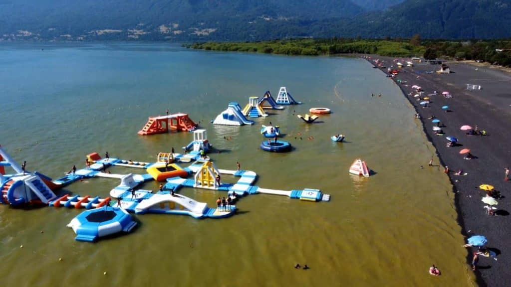 Alerta en Chile por la presencia de gran cantidad de algas tóxicas en el Lago Villarrica: autoridades piden no tener contacto con el agua