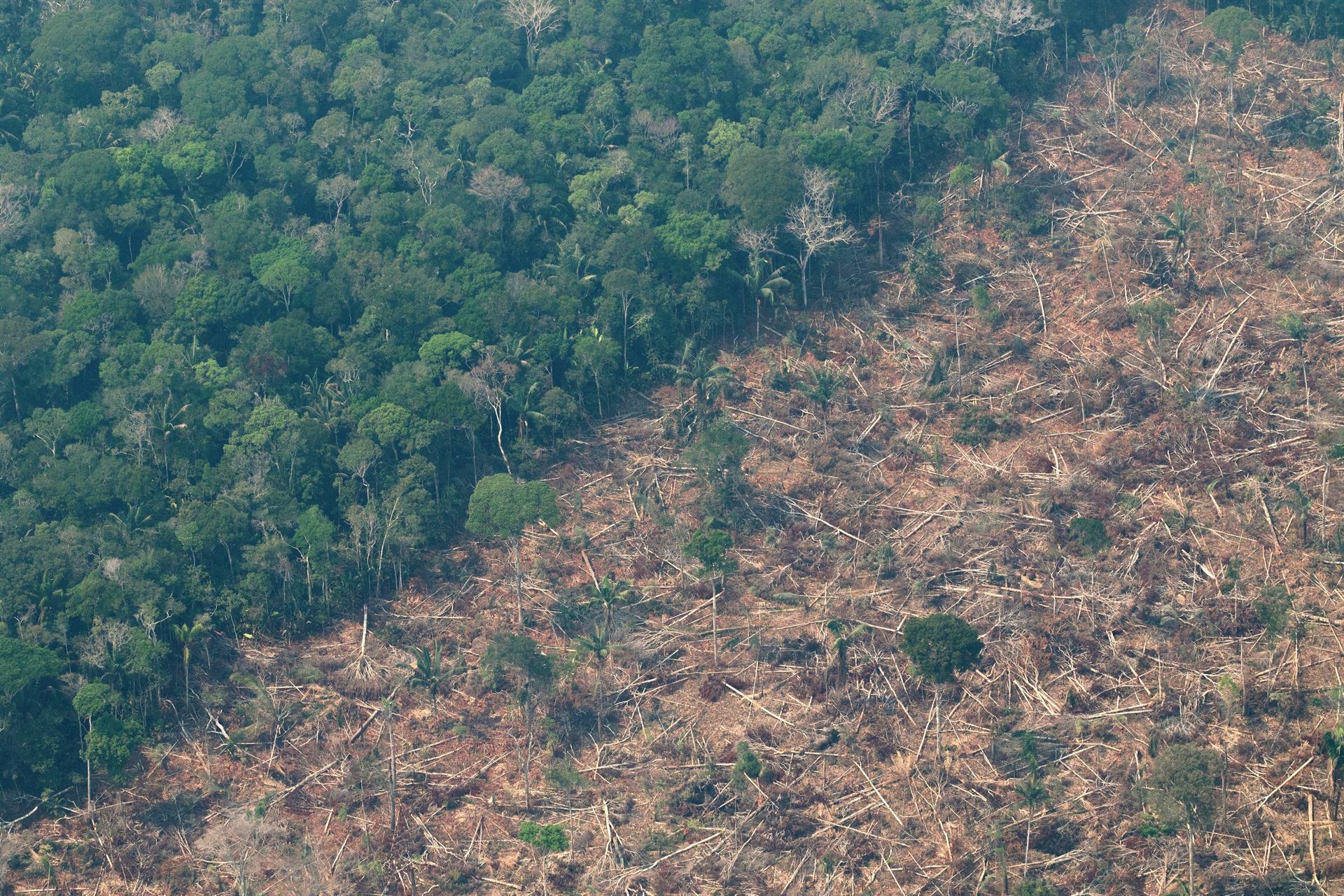 amazonas-aena-plantación-de-arboles-1