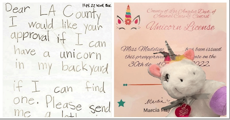 licencia para unicornios