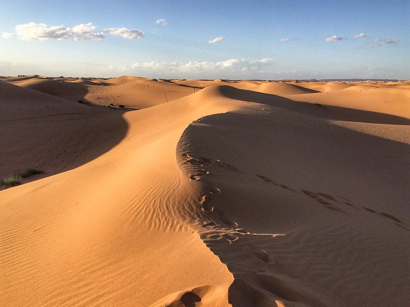 image curiosidades del desierto del Sahara 1 Desierto del Sahara