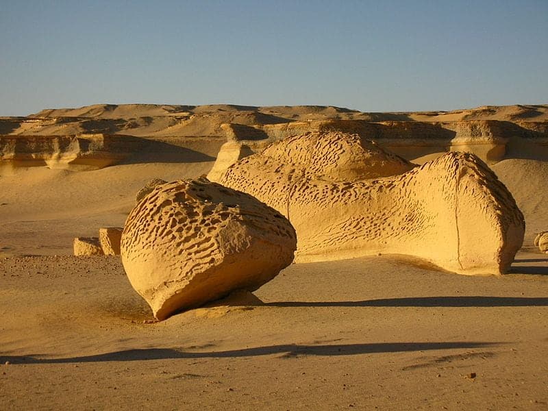 image curiosidades del desierto del Sahara 2 Valle de las Ballenas