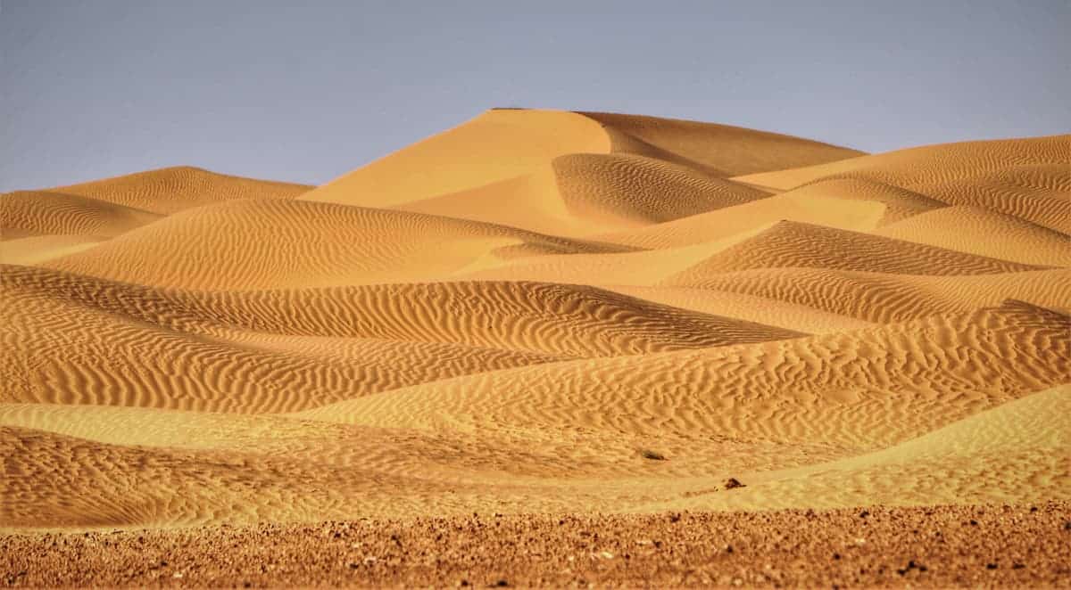 Curiosidades del desierto del Sahara