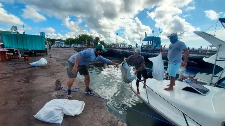 Retiran más de dos toneladas de basura frente a las costas de las Islas Galápagos