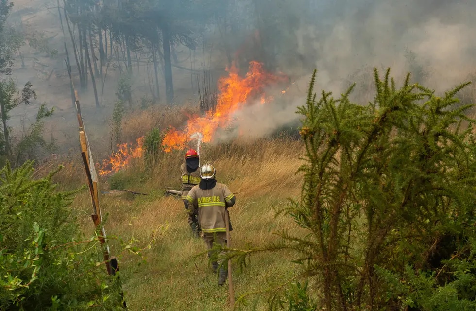 Preocupación y alerta en Chubut: aumentan los incendios forestales en el Parque Nacional Los Alerces y alrededores