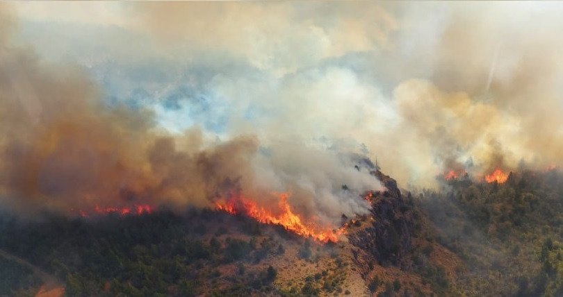 incendios-forestales-en-parque-nacional-los-alerces-2