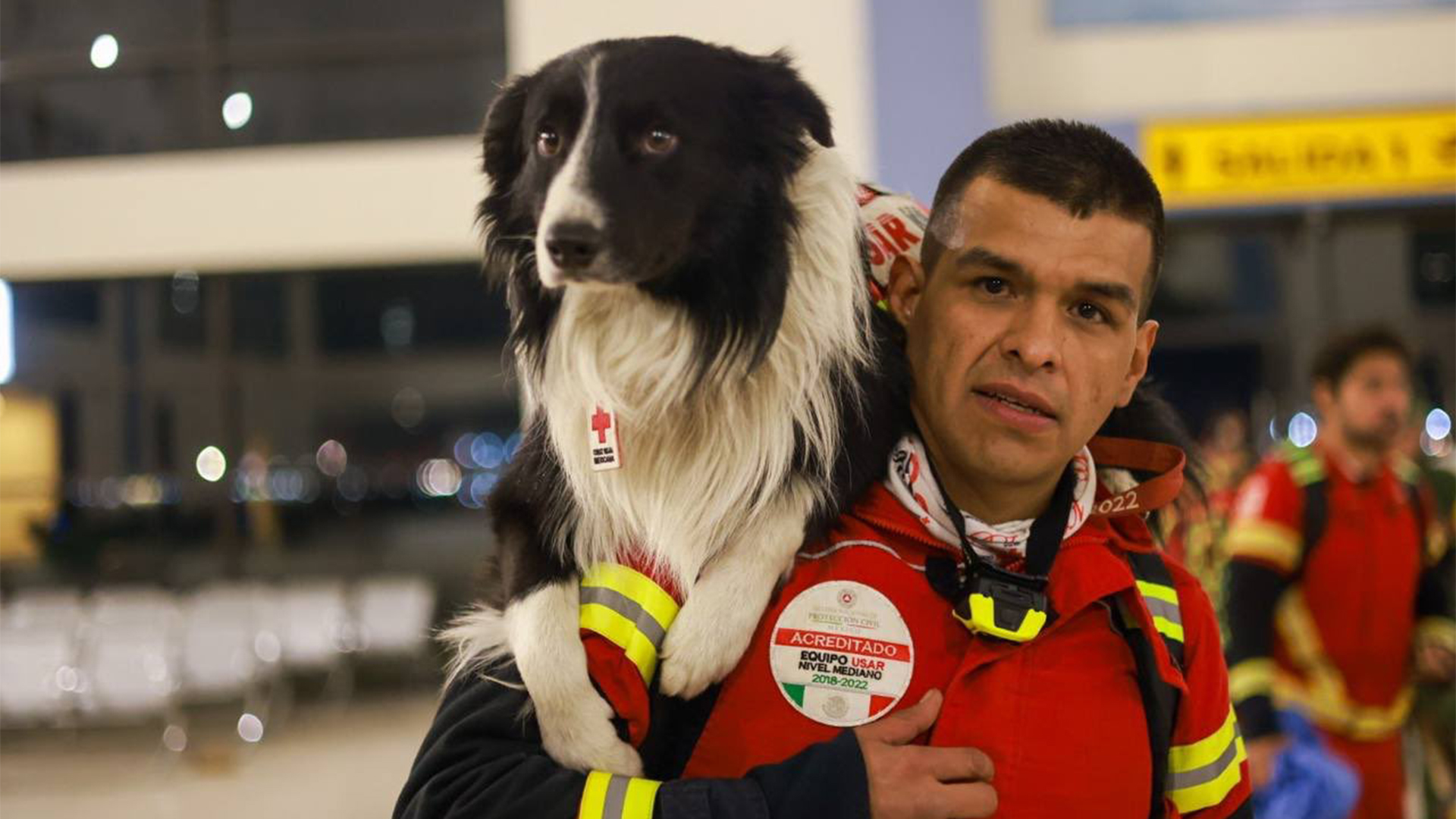 perros de rescate con de México en Turquía