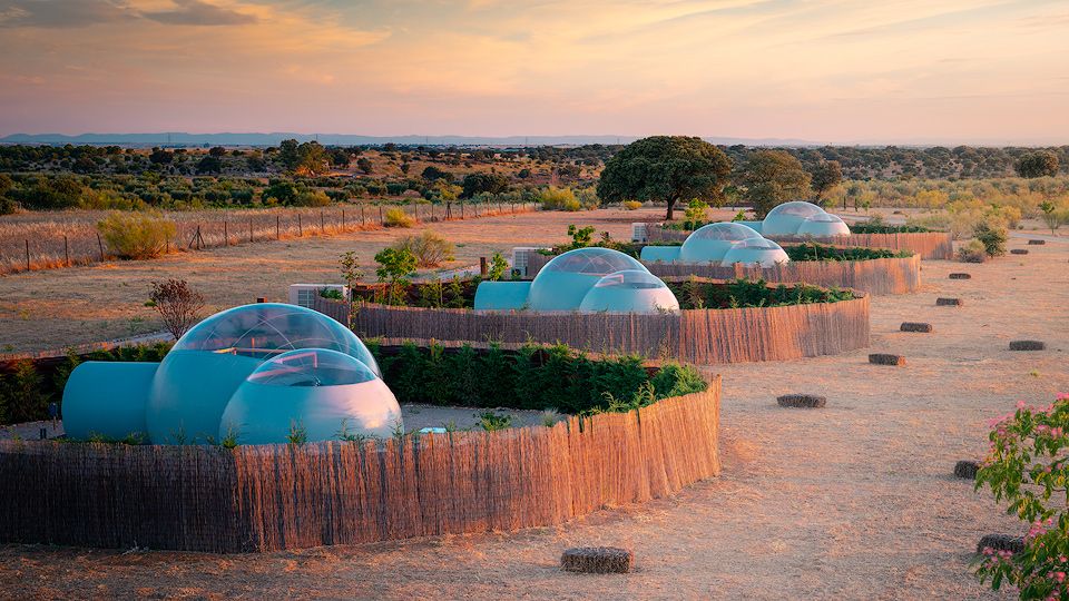 BURBUJAS-EN-EL-DESIERTO