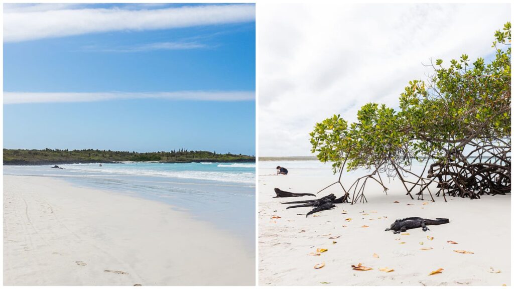 Bahía Tortuga, Islas Galápagos