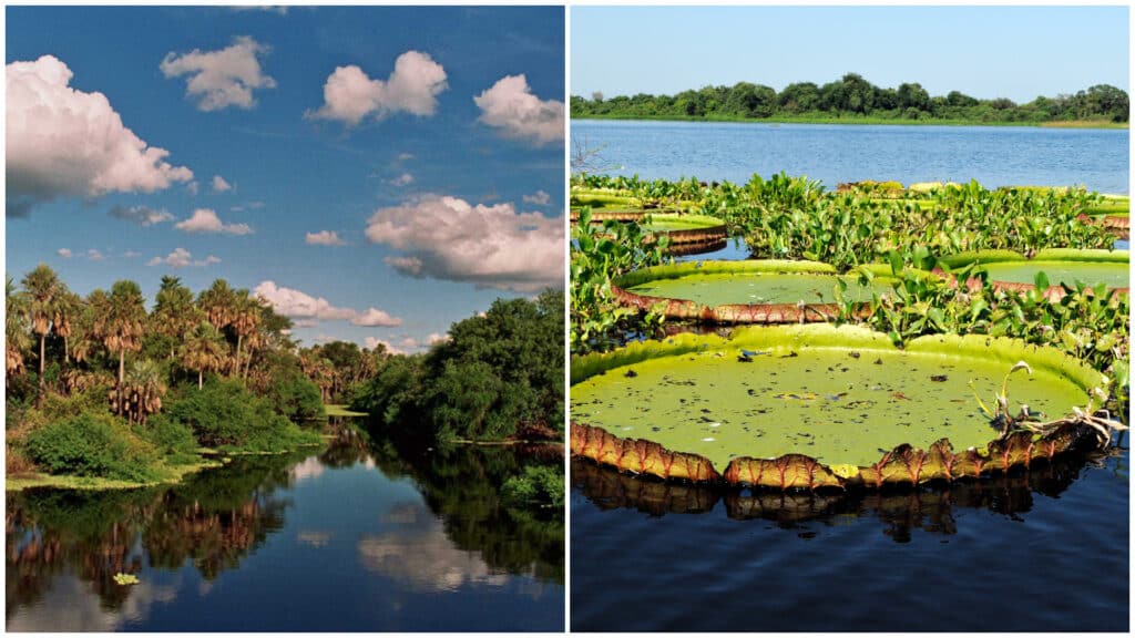 image El Pantanal Paraguayo en Fuerte Olimpo