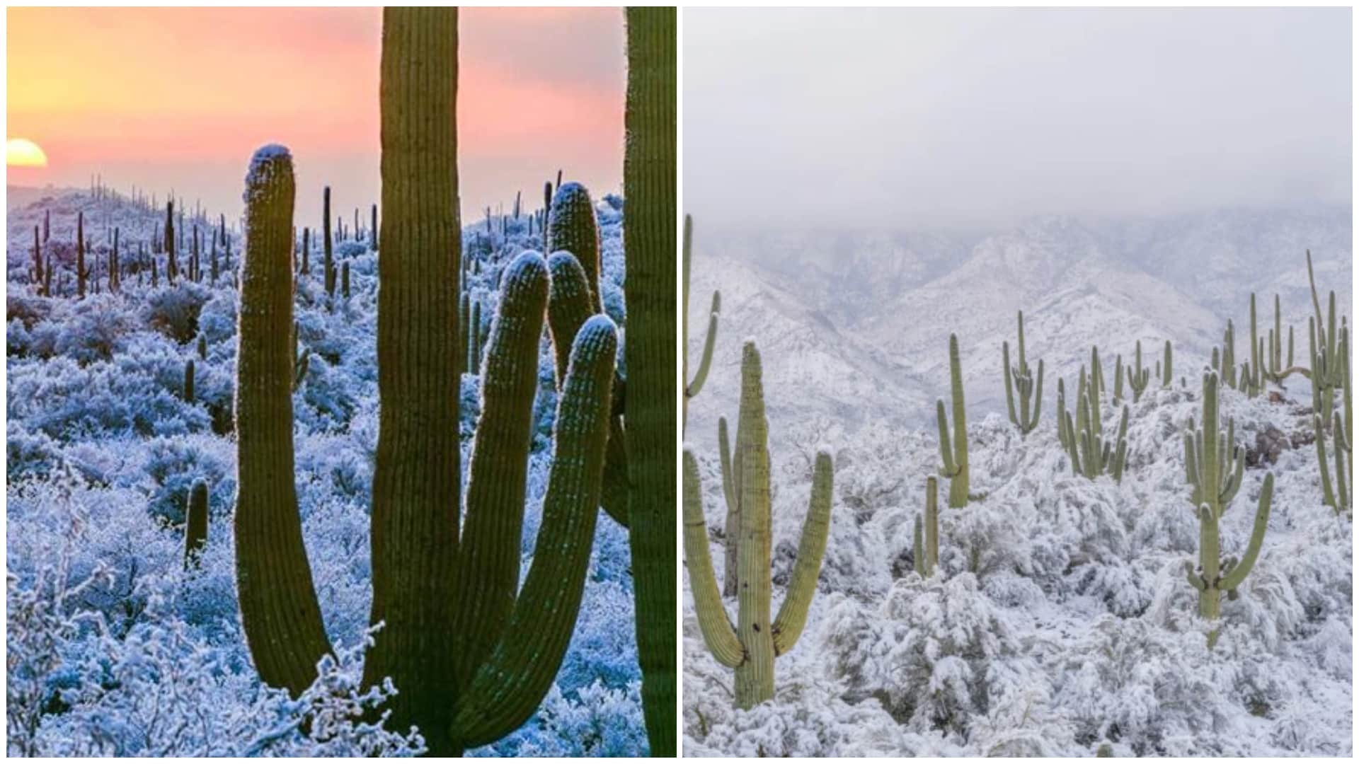 [Fotos] Nevó en el desierto más cálido de México y EE.UU. por primera vez en décadas