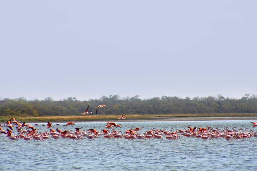 image Lagunas Saladas Campo Maria