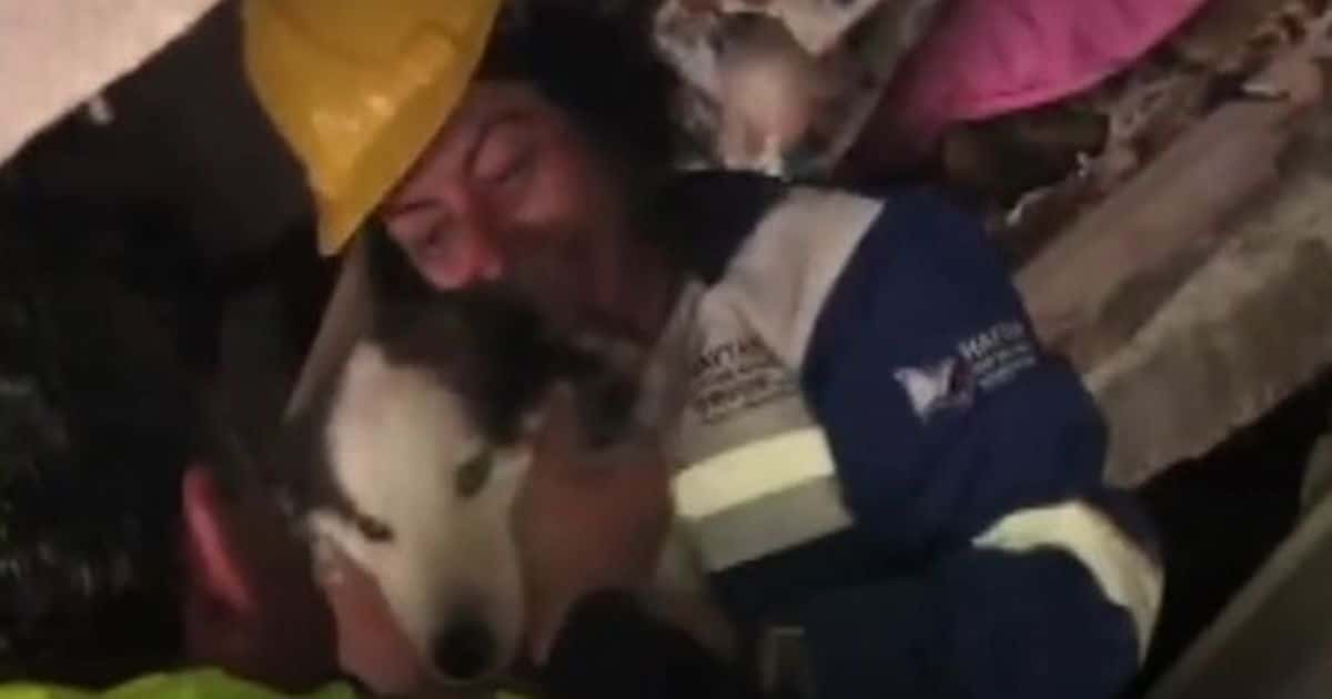 Rescatistas turcos liberan perro en rescate milagroso 22 días después del terremoto