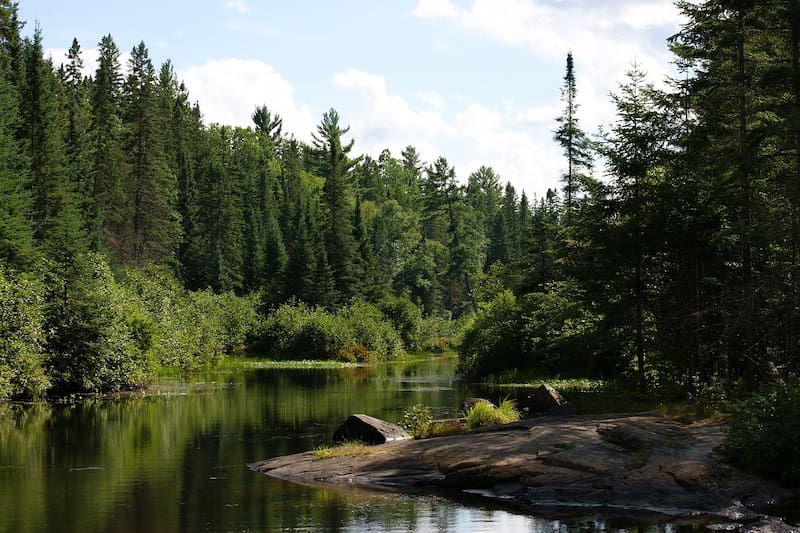 image excursiones desde Toronto 8 Algonquin Provincial Park