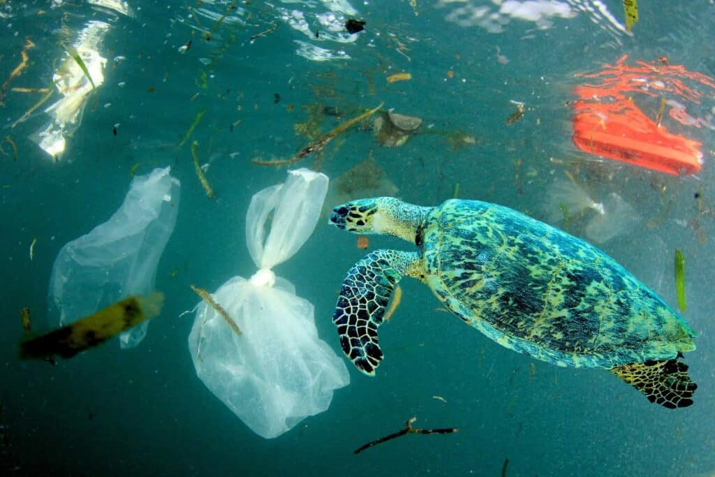 image Costa Rica Costa Rica prohibe la comercializacion y entrega gratuita de bolsas y pajillas plasticas para reducir residuos plasticos 1