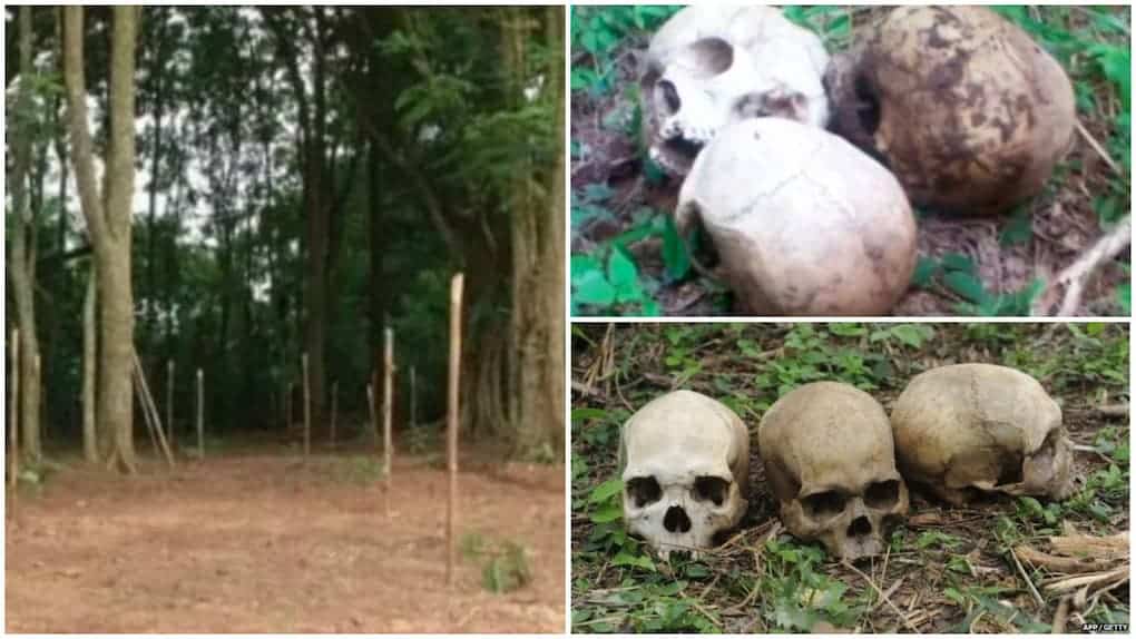 Nigeria Forest of Horror