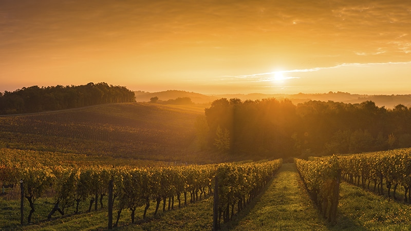 image Enoturismo en Brasil Vale dos Vinhedos um roteiro de charme vinhos saborosos e alta gastronomia