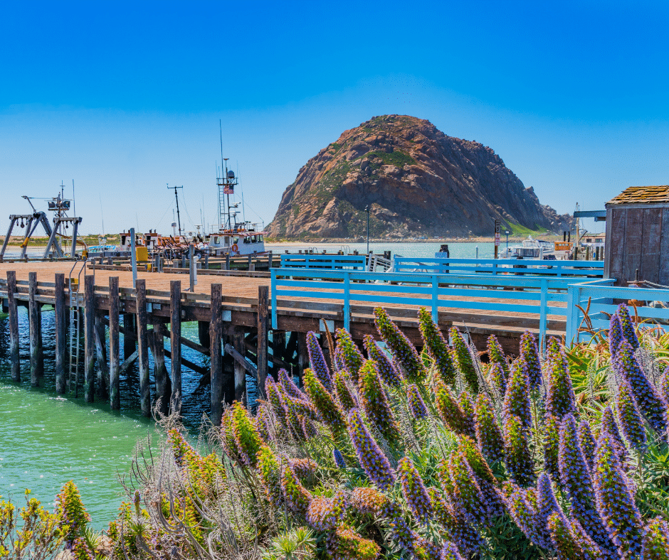 Morro Bay. CANVA.