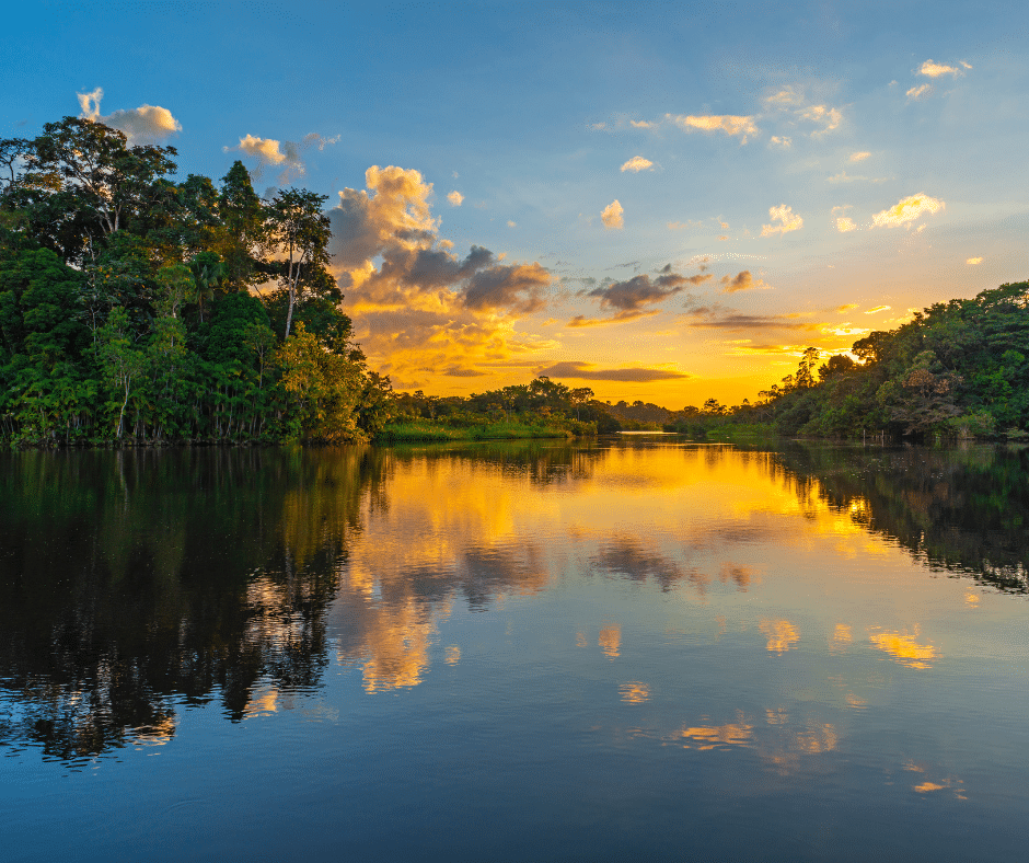 amazonas brasileño