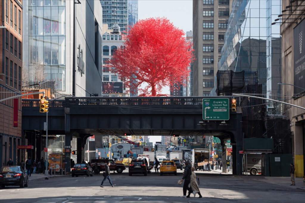 image Old Tree old tree nueva york 1