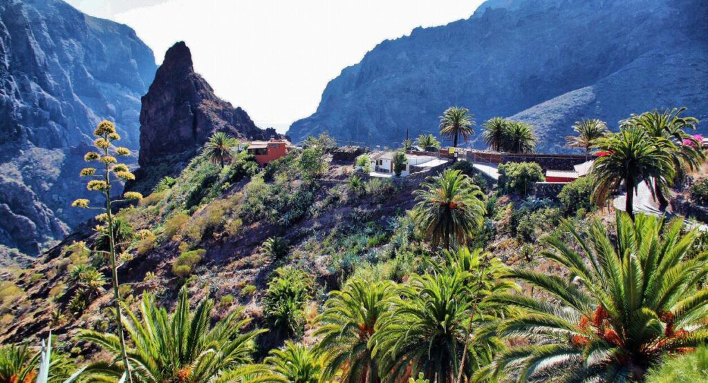 image tenerife teno barranco masca 001 1