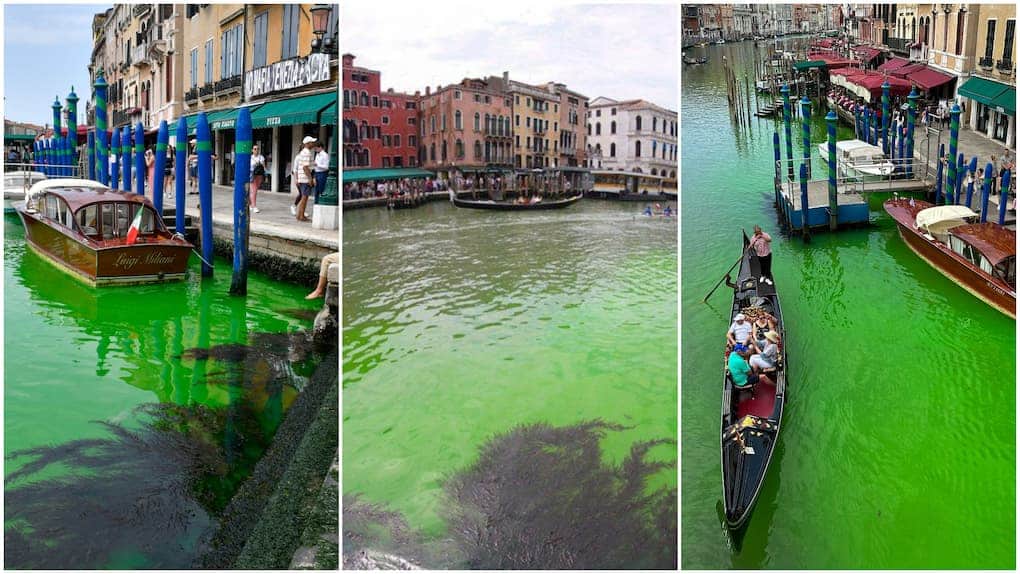 venecia se tiñe de verde (1)