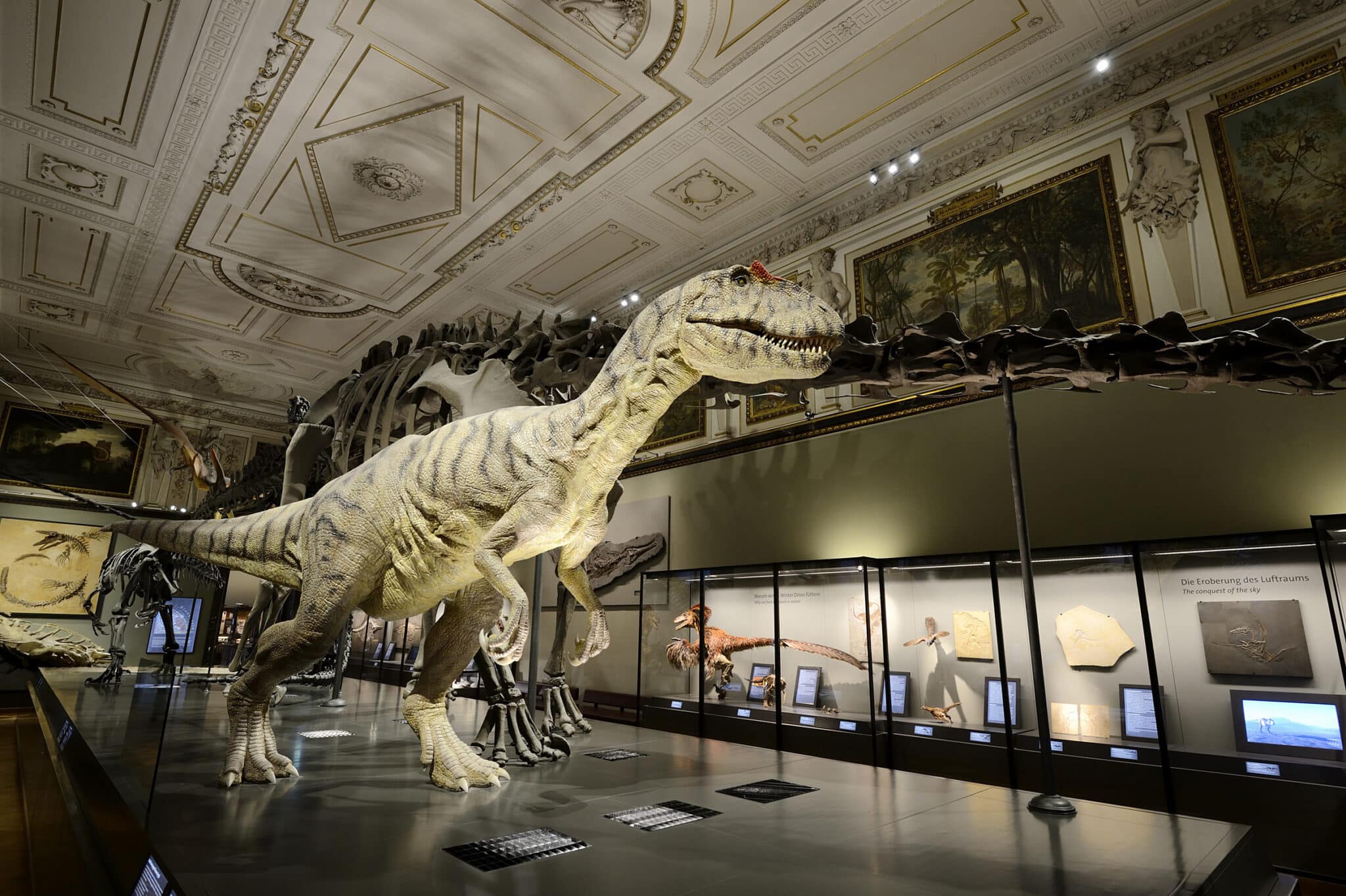 BILD zu OTS - Dinosauriersaal NHM Wien