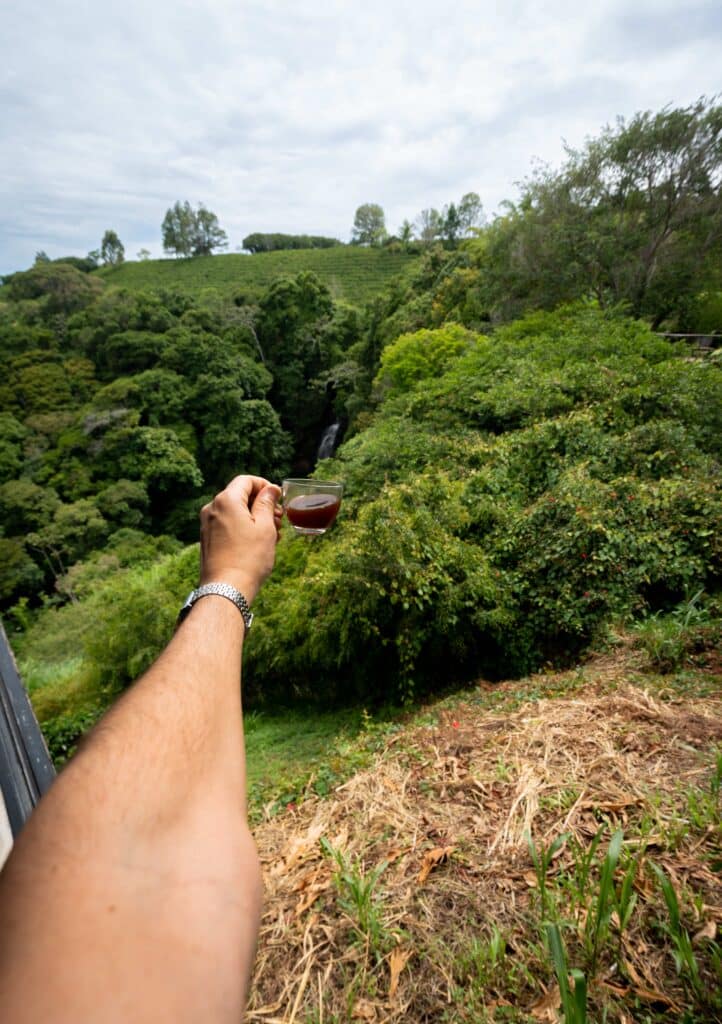 image Qué hacer en San José en 48 horas visitar hacienda alsacia en san jose costa rica 1