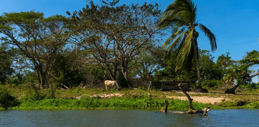 image Nicaragua 7