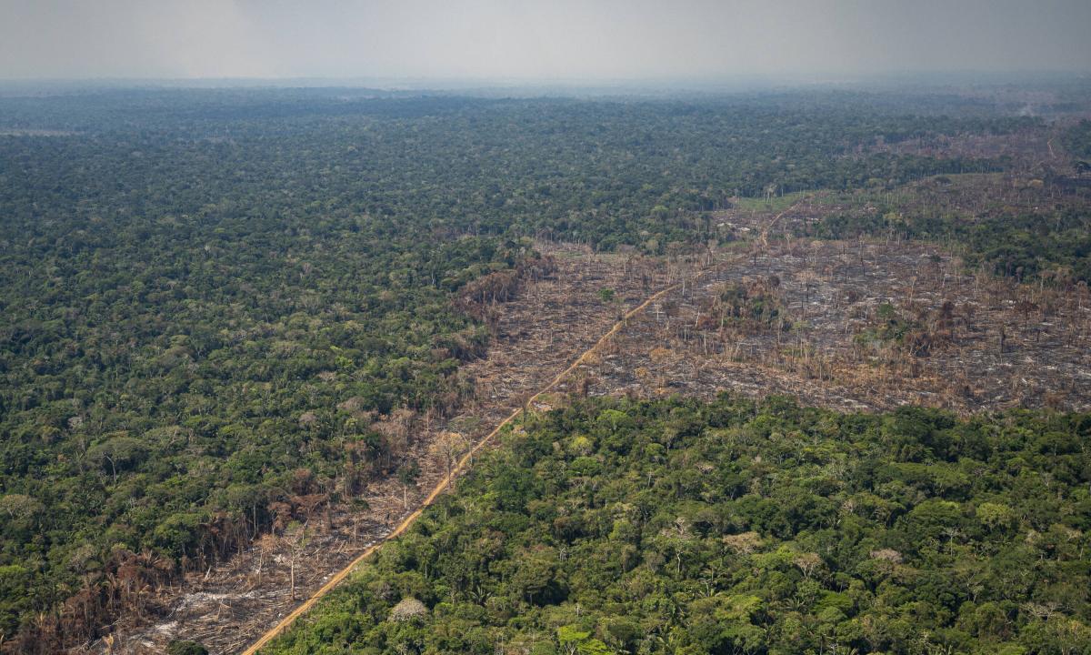 amazonia-brasileña-deforestación-peligro-202