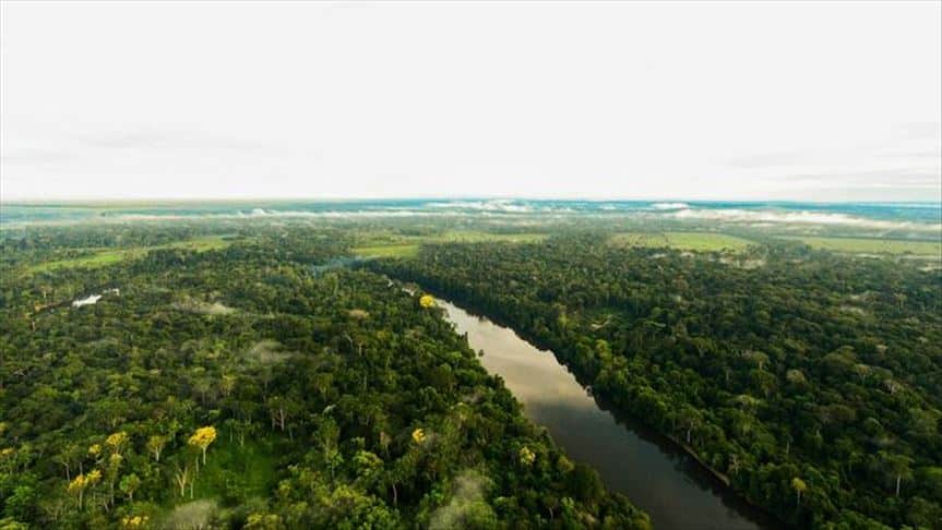 La Amazonía brasileña perdió un promedio de 21 árboles a cada segundo durante el 2022