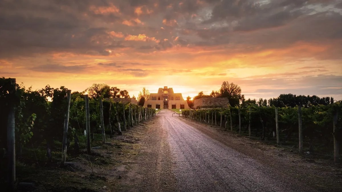 Catena-Zapata-bodega-argentina-elegida-mejor-viñedo-del-mundo-1