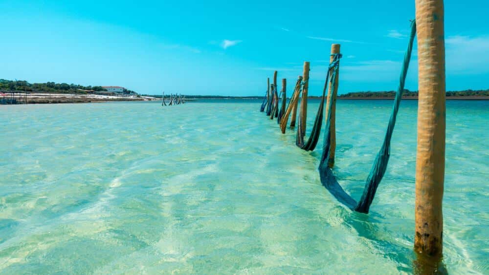 image mejores playas para conocer en Jericoacoara playas para conocer en Jericoacoara