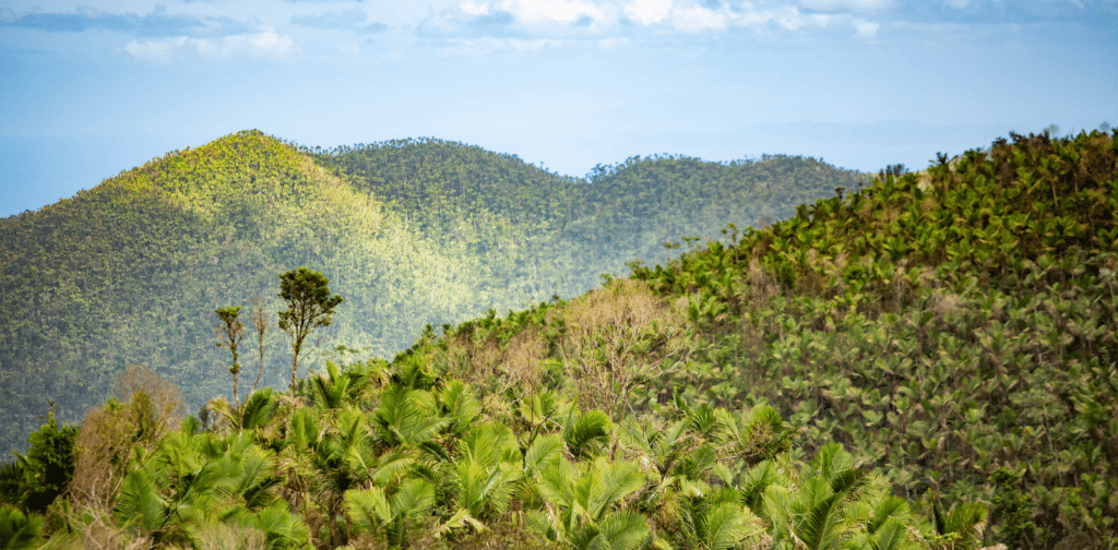 image puerto rico Bosque Nacional El Yunque