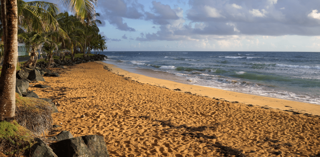 image puerto rico PLAYA