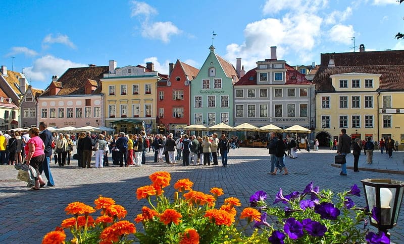 image HD wallpaper tallinn estonia cities tallinn old travel estonia flowers old town city