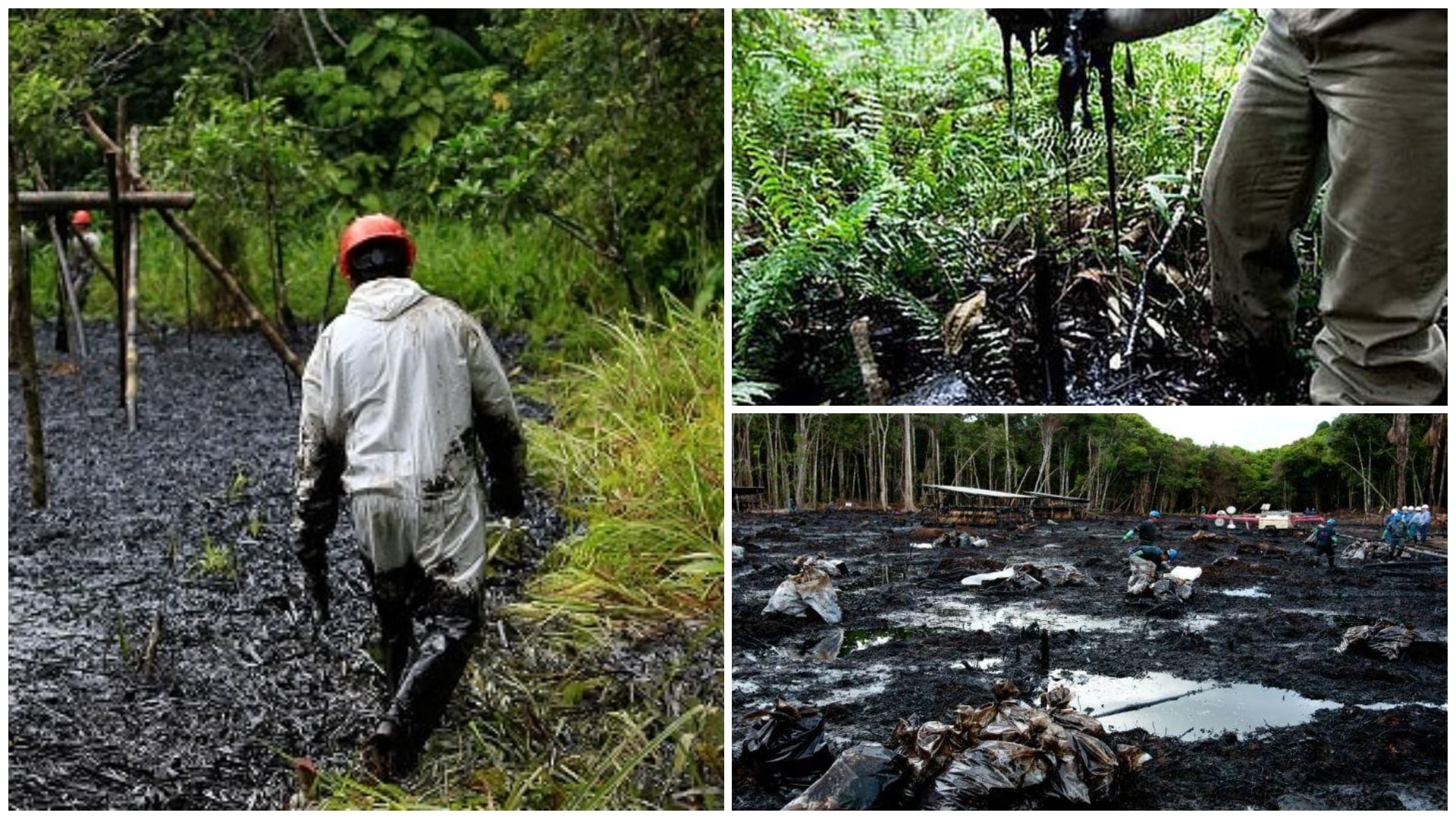 amazonia petroleo