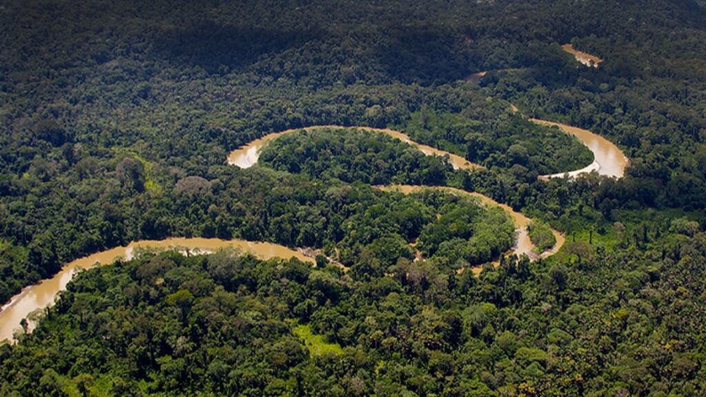 Corazón de la Amazonía: este programa para conservar, reforestar y no deforestar alienta a la unión entre campesinos y locales