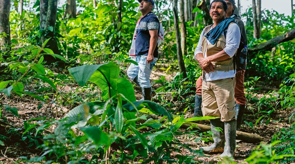 image Corazón de la Amazonía corazon de la amazonia colombia 3