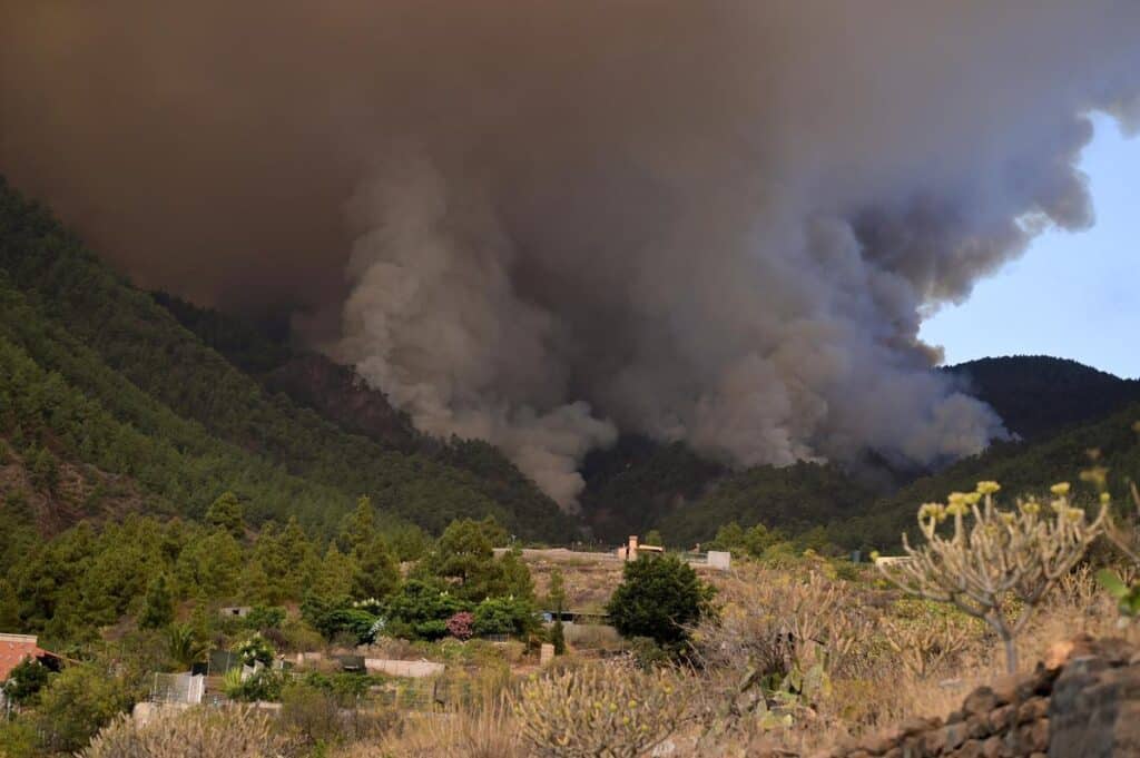 Preocupación en islas Canarias: Los incendios en Tenerife han arrasado con 3.800 hectáreas